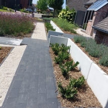 Roel Verhulst